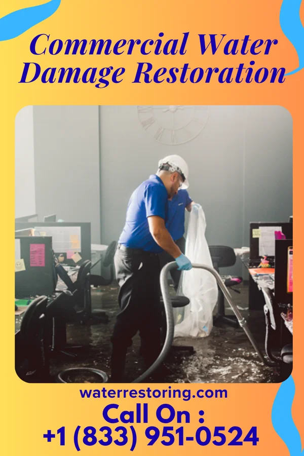Commercial Water Damage Restoration in New Germany, MN