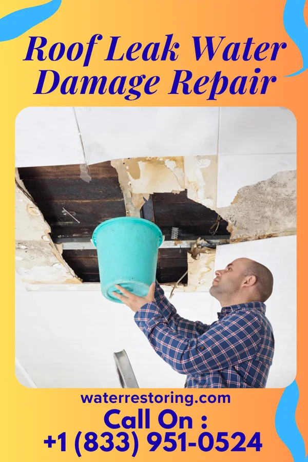 Roof Leak Water Damage Repair in New Germany, MN